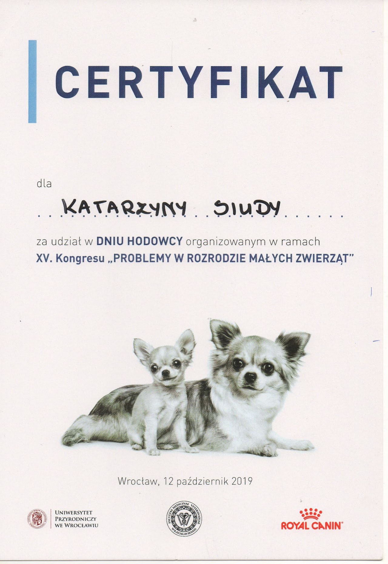 Certyfikat #7